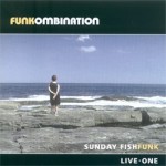 Past_proects_funkombination_cover1